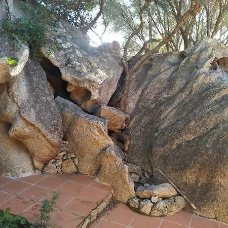 Casa Degli Olivastri Holiday home Olbia