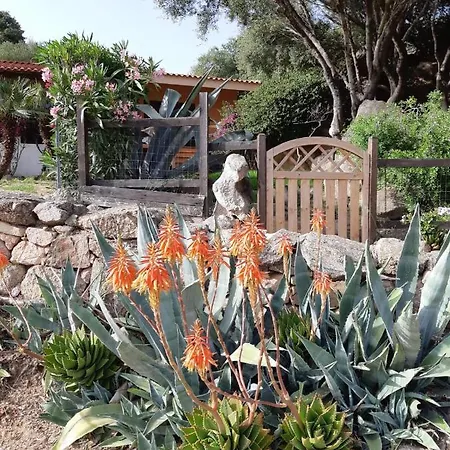 Casa Degli Olivastri *