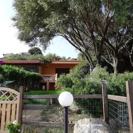 Casa Degli Olivastri Holiday home Olbia